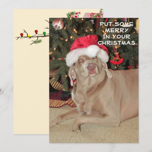 Carte Pluie le Noël du Weimaraner (Devant / Derrière)