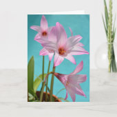 Carte Pluie rose Lys Photographie Botanique Pâques (Devant)