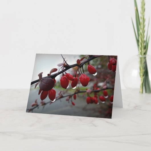 Carte Pluie sur la brindille (Devant)