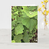 Carte Pluie sur le Gingko (Fleur jaune)