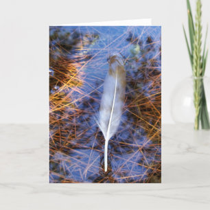 Carte Plume d'aigrette