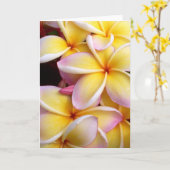 Carte Plumeria (Fleur jaune)