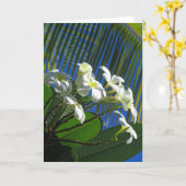 Carte Plumeria et Palm (Fleur jaune)