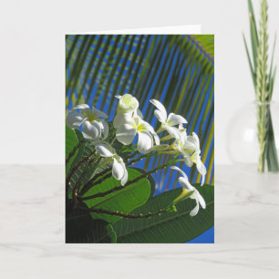 Carte Plumeria et Palm