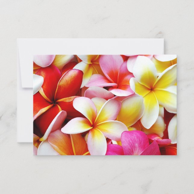 Carte Plumeria Frangipani Hawaii Fleur Customisée (Devant)