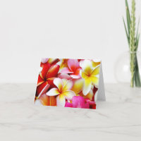 Plumeria Frangipani Hawaii Fleur Hawaii Fleurs haw