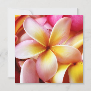 Carte Plumeria Frangipani Hawaii Flower Customized Blank