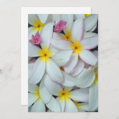 Carte Plumeria hawaïenne (Devant / Derrière)