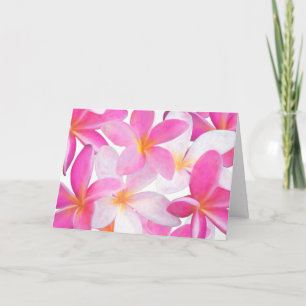 Carte Plumeria rose Tropical Flower Hawaii floral Blank