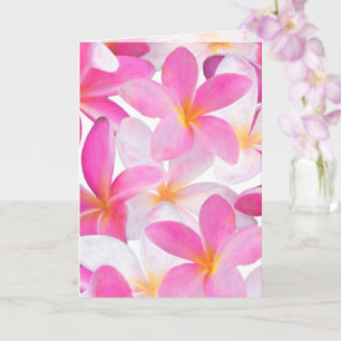 Carte Plumeria rose tropicale Fleur Hawaii Floral