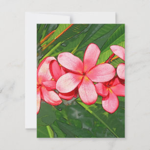 Carte Plumerias