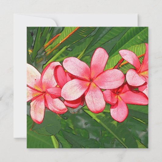 Carte Plumerias (Devant)