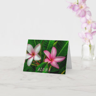 Carte Plumerias en blanc et rose