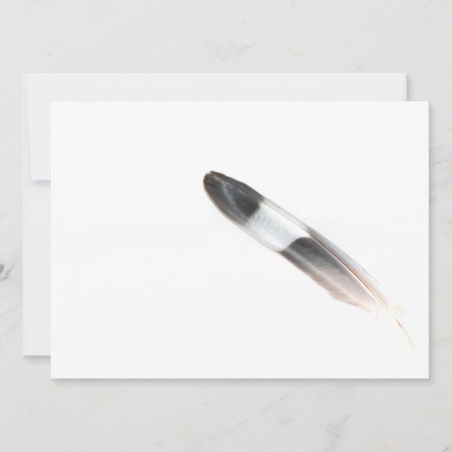 Carte Plumes (Devant)