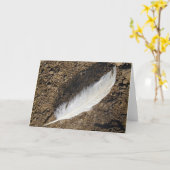 Carte Plumes (Fleur jaune)