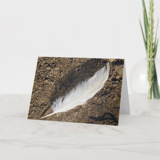 Carte Plumes (Devant)