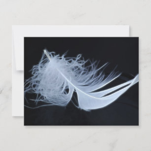 Carte Plumes blanches - angélique par nature