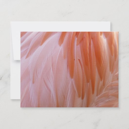 Carte Plumes de Flamant rose dans les tons roses (Devant)