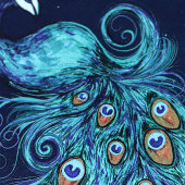Carte Plumes de paon Peacocks Turquoises