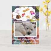 Carte Plums de sucre et Traitements (Fleur jaune)