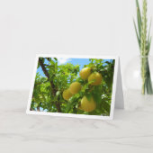 Carte Plums jaunes Ciel bleu (Devant)