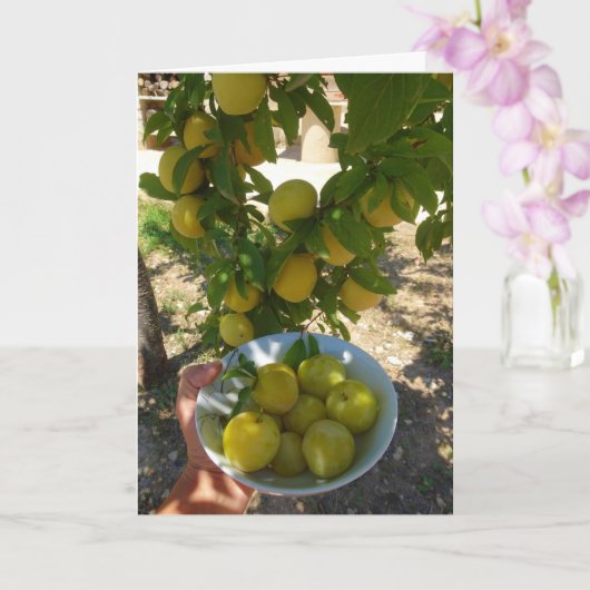 Carte Plums jaunes dans le Portrait de Bowl (Orchidée)