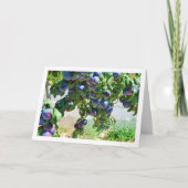 Carte Plums pourpres accrochés à l'arbre (Devant)