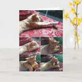 Carte Plus de médicaments s'il vous plaît (Fleur jaune)