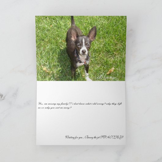 Carte plus de photos 008, Missing You... (Intérieur)