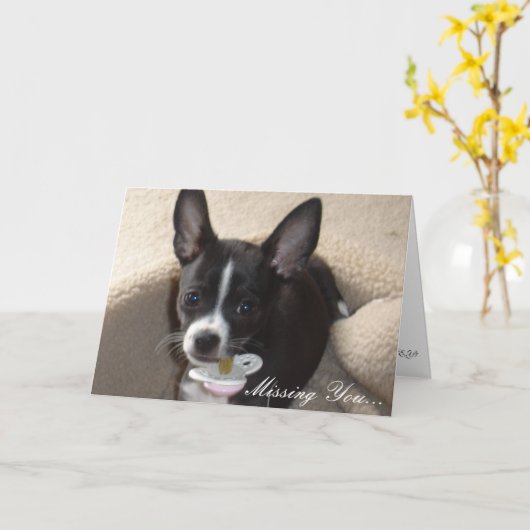 Carte plus de photos 008, Missing You... (Fleur jaune)