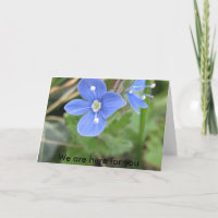 plus de ressort fleurit 10 001, nous sont ici pour