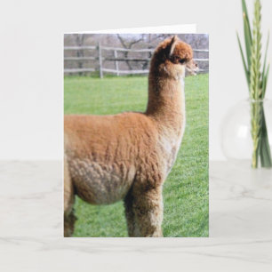 CARTE PLUTÔT PARTAGER MON ANNIVERSAIRE AVEC VOUS QUE QUI