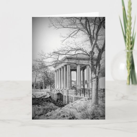 Carte Plymouth Rock canopée noir et blanc (Devant)