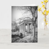 Carte Plymouth Rock canopée noir et blanc (Fleur jaune)