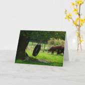 Carte Pneu de pays à l'ancienne couture (Fleur jaune)