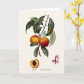 Carte Poche (Fleur jaune)