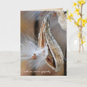 Carte pod de milkweed sympathie (Fleur jaune)