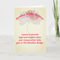 Poème : Confort Pour Perdre Un Animal ; FLST, Plié