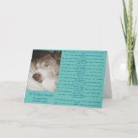 poème de chien original loyal vieux animal sympath