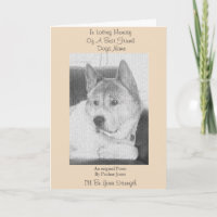 poème de chien original loyal vieux animal sympath