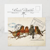 Carte Poids D'Oiseaux Postaux 3 de 4 (Robins Europ (Devant / Derrière)
