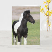 Carte Poignée noire et blanche pour vannière tzigane dre (Fleur jaune)