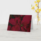 Carte Poinsettia #7 (Fleur jaune)