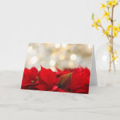Carte Poinsettia de Noël (Fleur jaune)