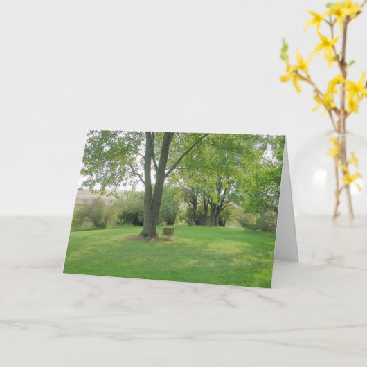 Carte Point réfléchi (Fleur jaune)