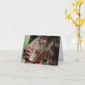 Carte Pointeur à poils courts allemand (Fleur jaune)