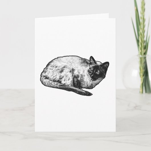 Carte Points et moustaches d'hiver (Devant)