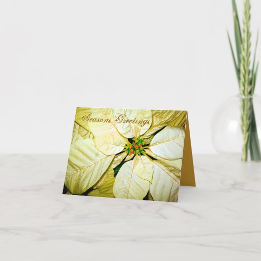 Carte Pointsettia_ Joyeuses Fêtes (Devant)