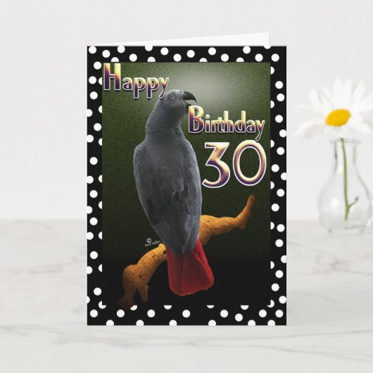 Carte Pois-points de perroquet afro-gris Congo 30e Jour (Petite plante)