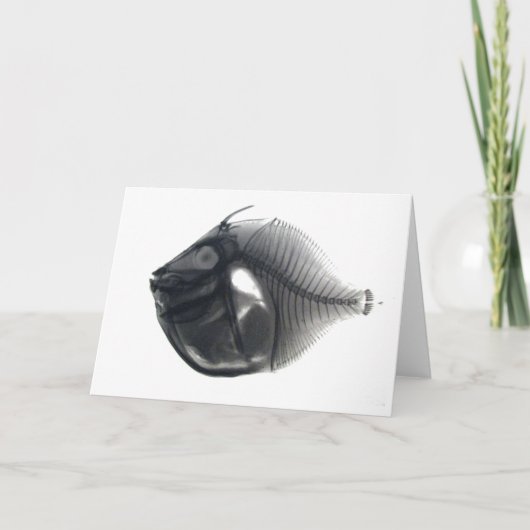 Carte Poisson (Devant)